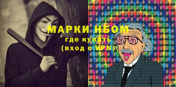 шишки Пересвет