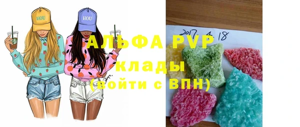 шишки Пересвет