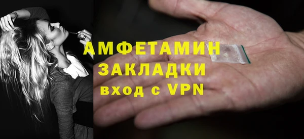 шишки Пересвет