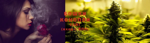 шишки Пересвет