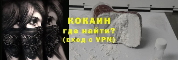 шишки Пересвет