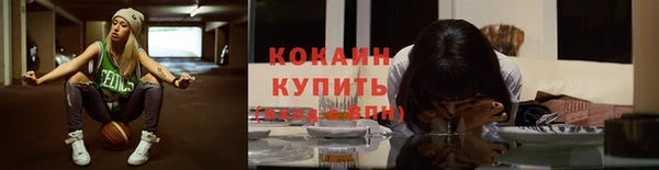 шишки Пересвет