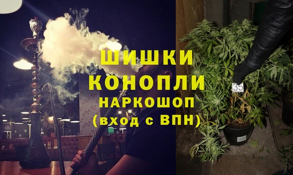 шишки Пересвет