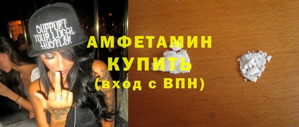 шишки Пересвет