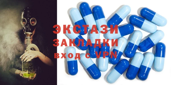 шишки Пересвет
